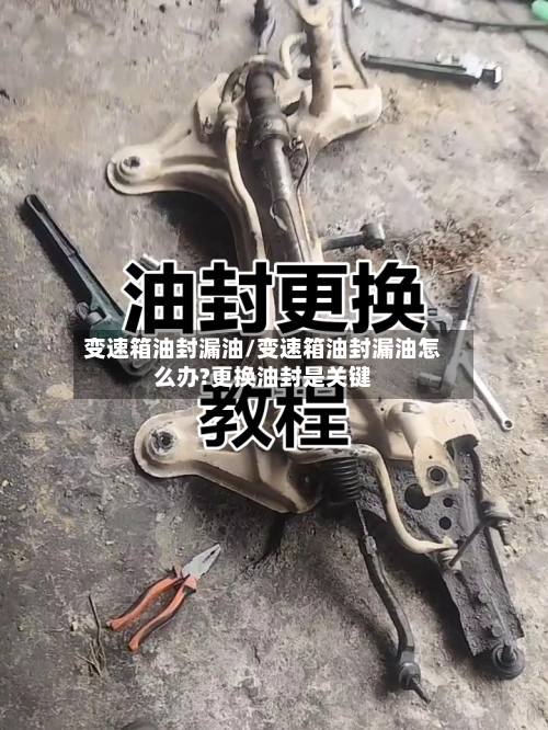 变速箱油封漏油/变速箱油封漏油怎么办?更换油封是关键