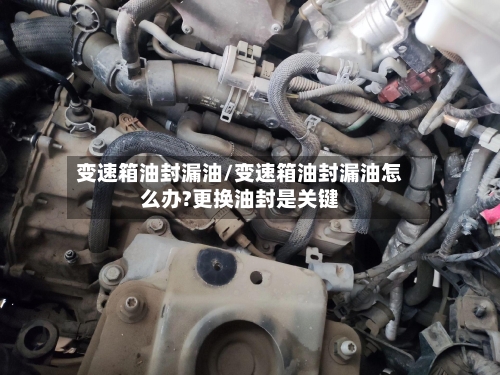 变速箱油封漏油/变速箱油封漏油怎么办?更换油封是关键-第2张图片
