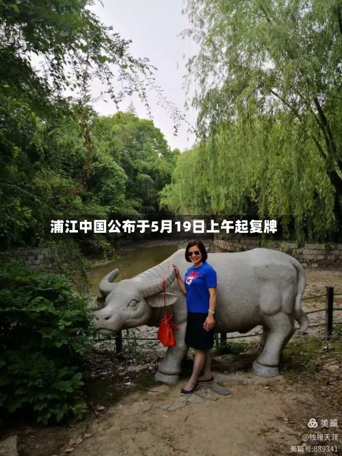 浦江中国公布于5月19日上午起复牌