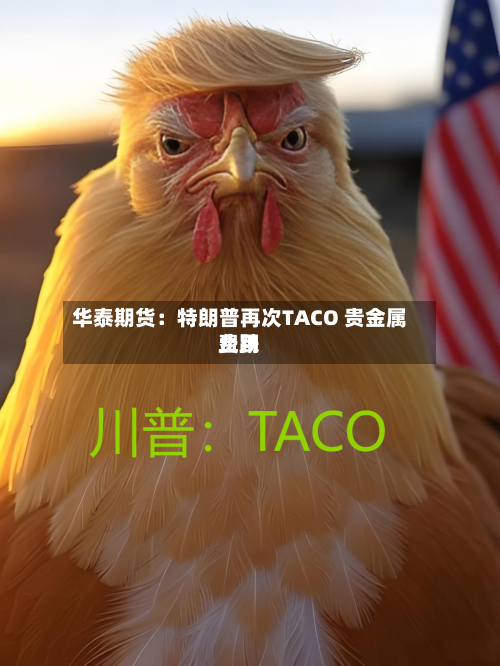 华泰期货:特朗普再次TACO 贵金属费用
止跌
