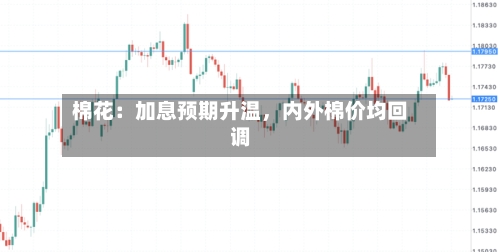 棉花：加息预期升温，内外棉价均回调