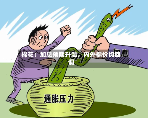 棉花：加息预期升温，内外棉价均回调-第3张图片