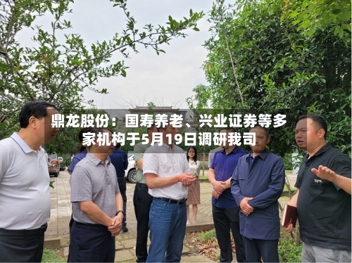 鼎龙股份：国寿养老、兴业证券等多家机构于5月19日调研我司