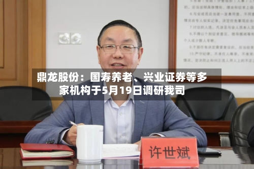 鼎龙股份：国寿养老、兴业证券等多家机构于5月19日调研我司-第3张图片