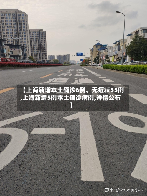 【上海新增本土确诊6例	、无症状55例,上海新增5例本土确诊病例,详情公布】-第3张图片