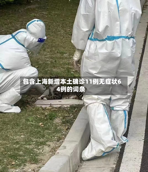 包含上海新增本土确诊11例无症状64例的词条-第2张图片
