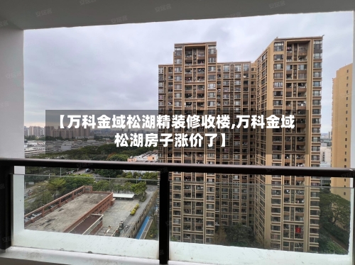 【万科金域松湖精装修收楼,万科金域松湖房子涨价了】-第2张图片
