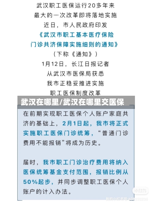 武汉在哪里/武汉在哪里交医保-第3张图片