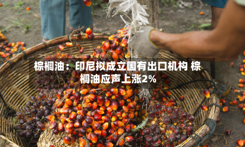 棕榈油：印尼拟成立国有出口机构 棕榈油应声上涨2%-第3张图片