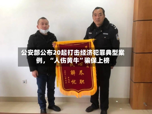 公安部公布20起打击经济犯罪典型案例，“人伤黄牛”骗保上榜