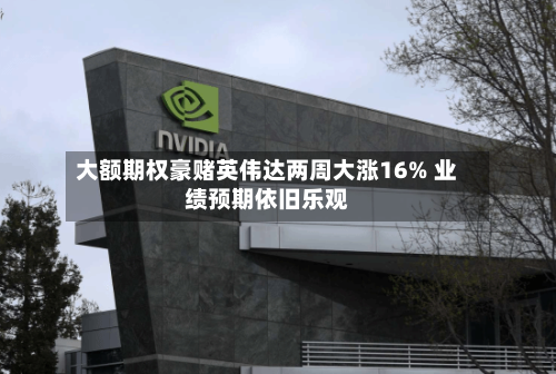 大额期权豪赌英伟达两周大涨16% 业绩预期依旧乐观-第2张图片