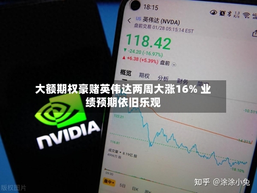 大额期权豪赌英伟达两周大涨16% 业绩预期依旧乐观-第3张图片