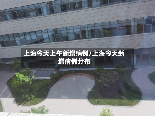上海今天上午新增病例/上海今天新增病例分布