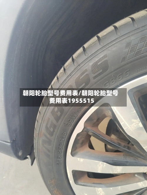 朝阳轮胎型号费用表/朝阳轮胎型号费用表1955515-第2张图片