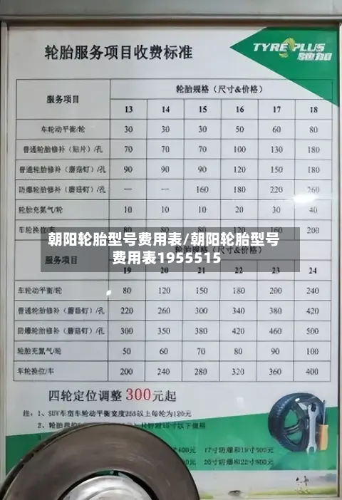 朝阳轮胎型号费用表/朝阳轮胎型号费用表1955515-第3张图片