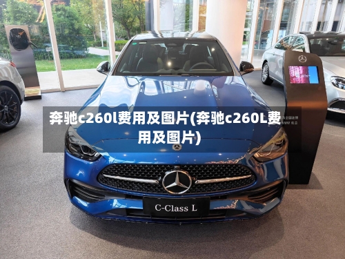 奔驰c260l费用及图片(奔驰c260L费用及图片)