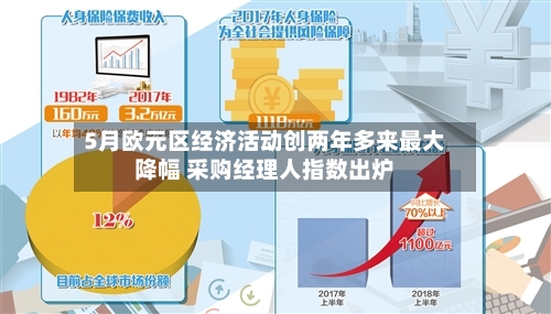 5月欧元区经济活动创两年多来最大降幅 采购经理人指数出炉