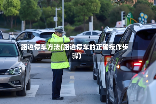 路边停车方法(路边停车的正确操作步骤)-第2张图片