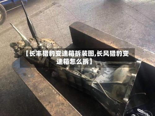 【长丰猎豹变速箱拆装图,长风猎豹变速箱怎么拆】-第2张图片
