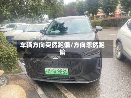 车辆方向突然跑偏/方向忽然跑偏