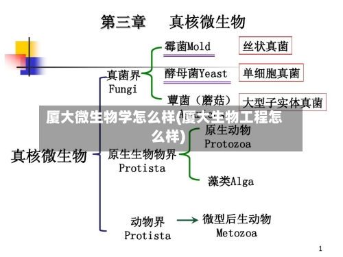 厦大微生物学怎么样(厦大生物工程怎么样)
