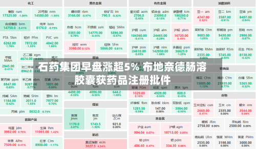 石药集团早盘涨超5% 布地奈德肠溶胶囊获药品注册批件-第3张图片