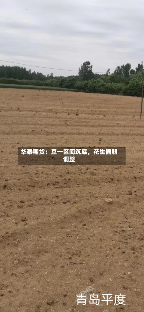 华泰期货：豆一区间筑底，花生偏弱调整