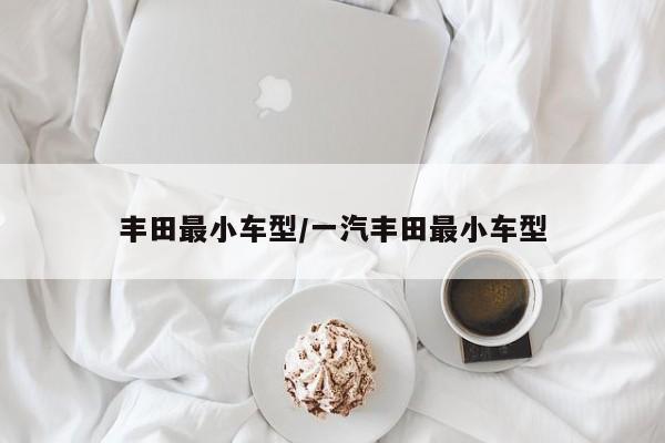 丰田最小车型/一汽丰田最小车型