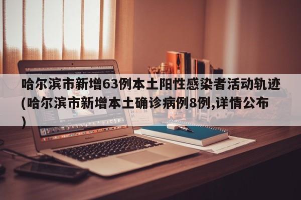 哈尔滨市新增63例本土阳性感染者活动轨迹(哈尔滨市新增本土确诊病例8例,详情公布)