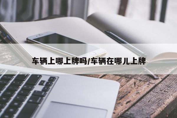 车辆上哪上牌吗/车辆在哪儿上牌