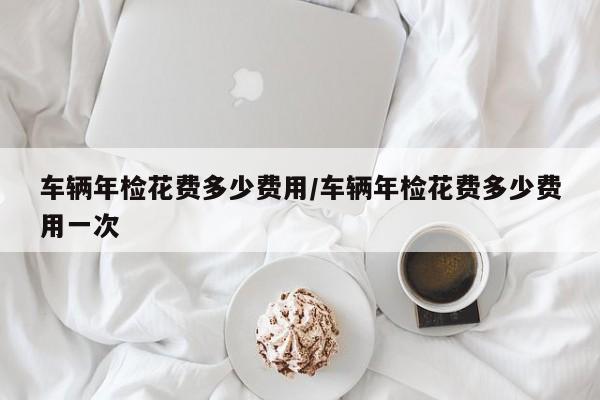 车辆年检花费多少费用/车辆年检花费多少费用一次