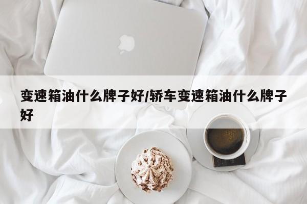 变速箱油什么牌子好/轿车变速箱油什么牌子好