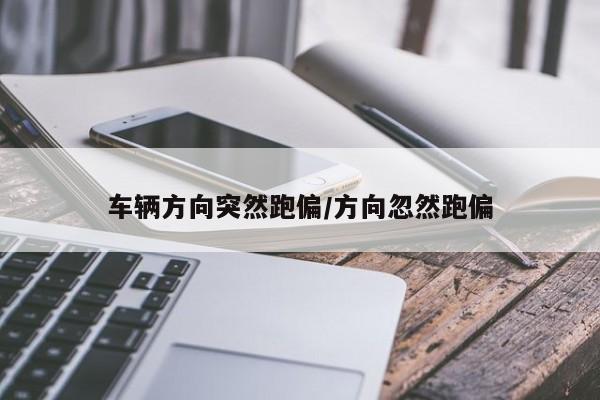 车辆方向突然跑偏/方向忽然跑偏